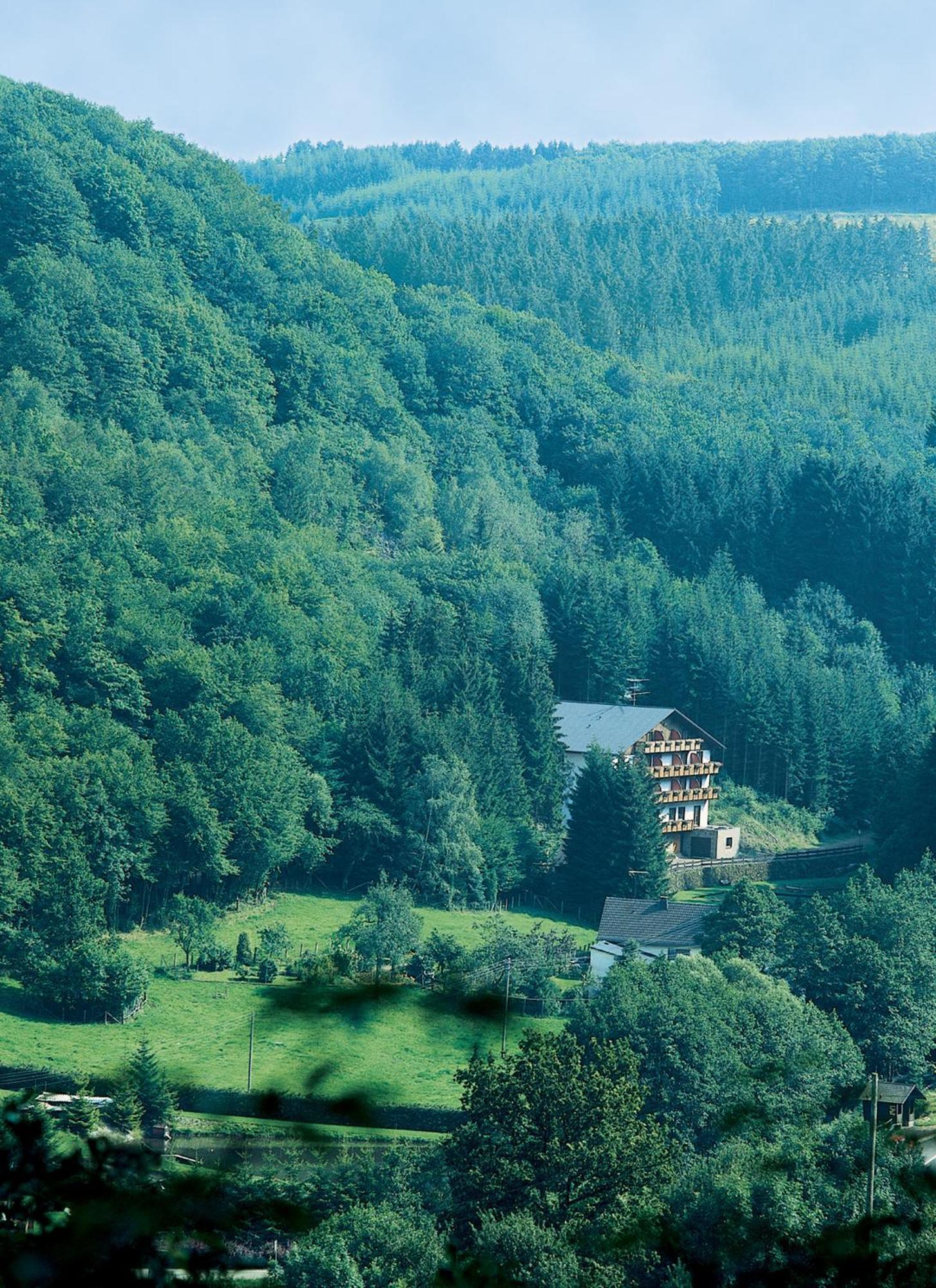 Wolffhotel Копп Экстерьер фото